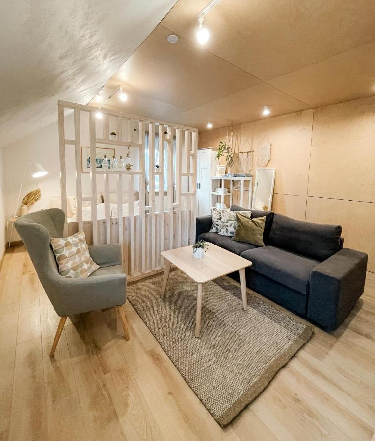 Old Town Apartment Marijampolė Екстериор снимка